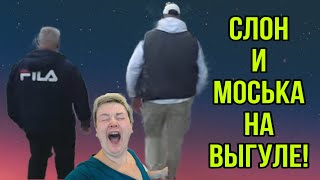 СЛОН И МОСЬКА НА ВЫГУЛЕ. ПИРАТСКАЯ ЖИЗНЬ. ОБЗОР.