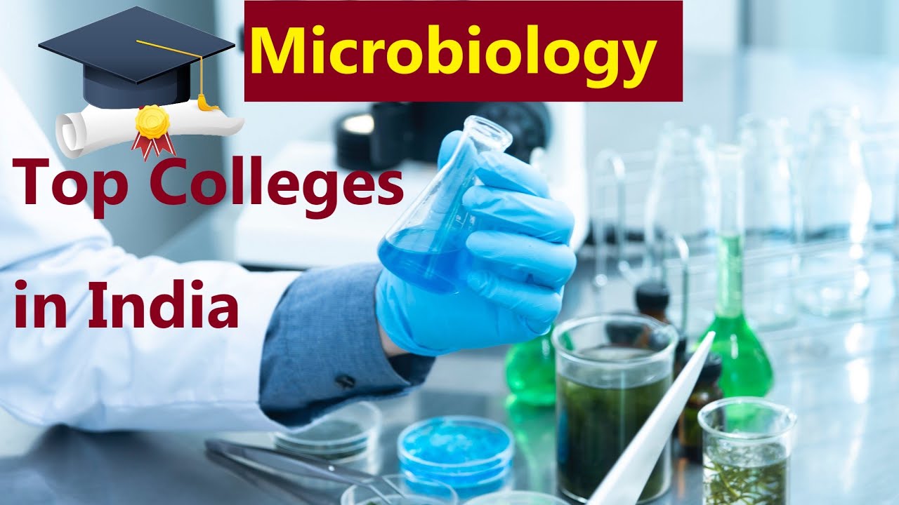 phd microbiology india