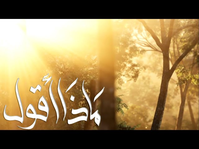 ⁣ماذا أَقُول | الرادود عيسى العيسى | مولد السيدة فاطمة الزهراء