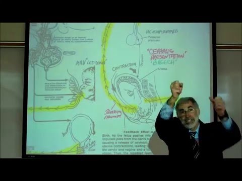 ENDOCRINOLOGY; HYPOTHALAMUS; ADH & OXYTOCIN by Professor Fink