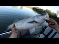 SACRAMENTO RIVER STRIPER FISHING WITH GLIDE BAITS 4-5-21