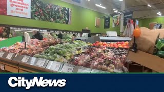 Competition Bureau to investigate retail grocery market