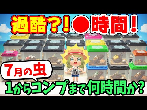 【あつ森】超耐久！7月の虫を全て捕まえるのに何時間かかるかやってみた！大量のレアな虫に打ち勝つんだ！【あつまれどうぶつの森 実況】