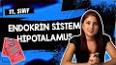 Biyoloji - Endokrin Sistemi Nedir ?  Ders Notu ve Konu Anlatımı ile ilgili video