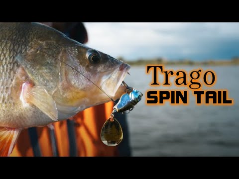 NEW Trago Spin Tail! 