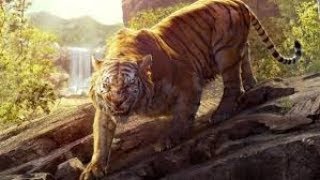 Mowgli Orman Çocuğu Mowgli Vs Shere Khan Film Klibi Izle 2-5