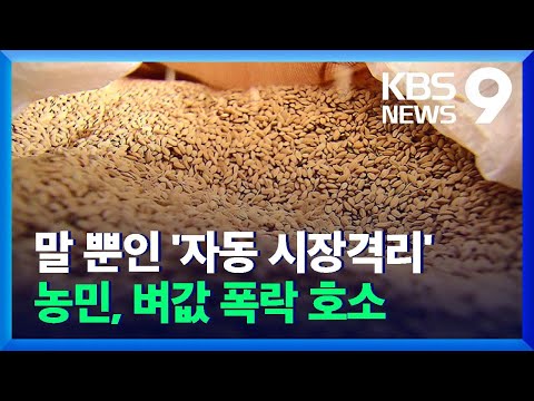 “말 뿐인 ‘자동 시장격리’”…농민, 벼값 폭락 호소 / KBS  2021.12.08.