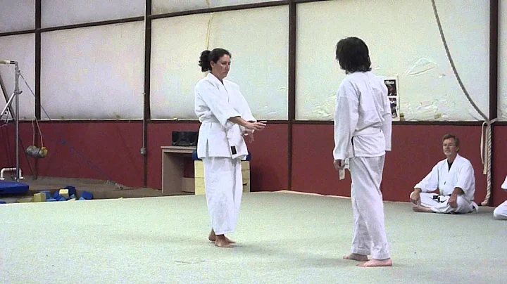 aikidotestvids 012