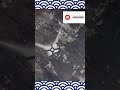 Granny Turnel Escape Horror Scary  😟😮 game 🎮 🫨🫩