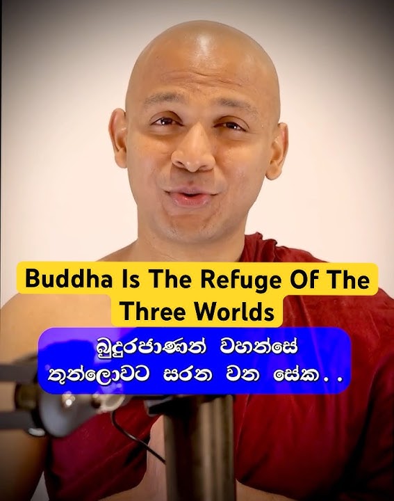 The Buddha — The Sun Who Dispels All Darkness🙏🌞