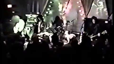 Moth in the Incubator - 1993