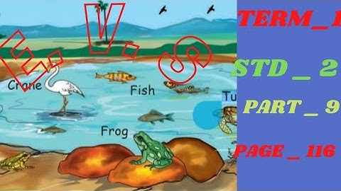 UNIT 4 | EVS | TERM 1 | STD 2 |Animals around us | Page 116 |