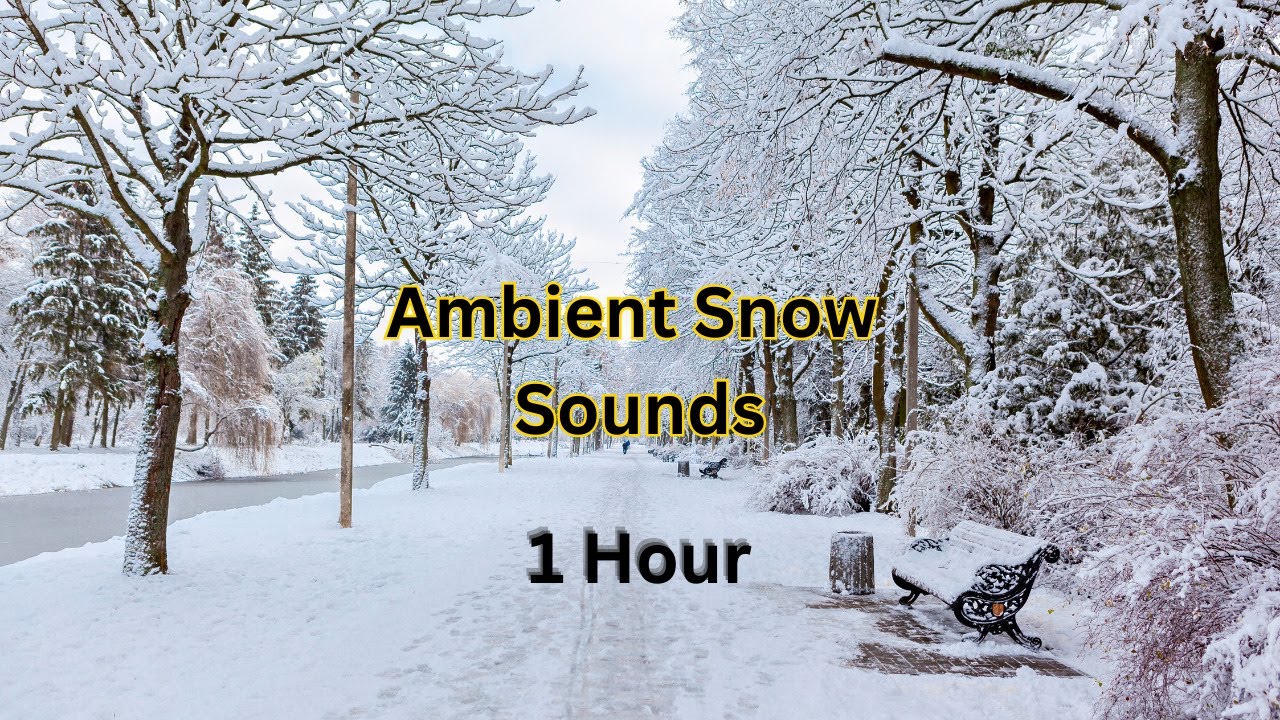 Winter Ambience | Snowfall sounds relaxing - YouTube