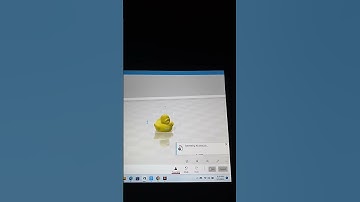 3D printed duck