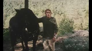 Pola X (1999) Original Trailer 2