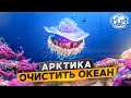 Арктика. Очистить океан | @rgo_films