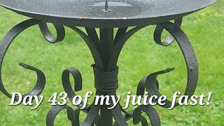 Day 43 of my 60 day juice fast!