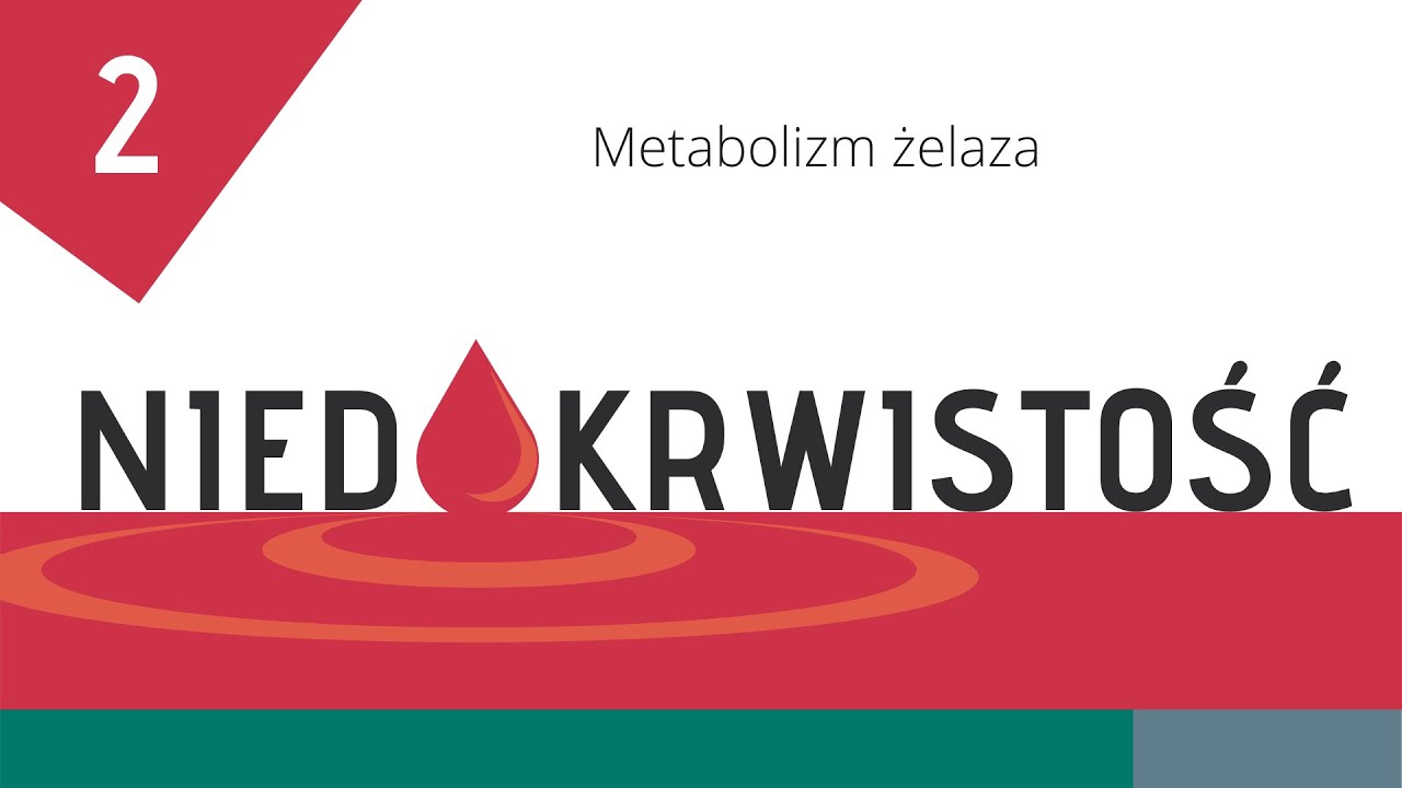 Niedokrwistość cz. 2: Metabolizm żelaza — Transcript