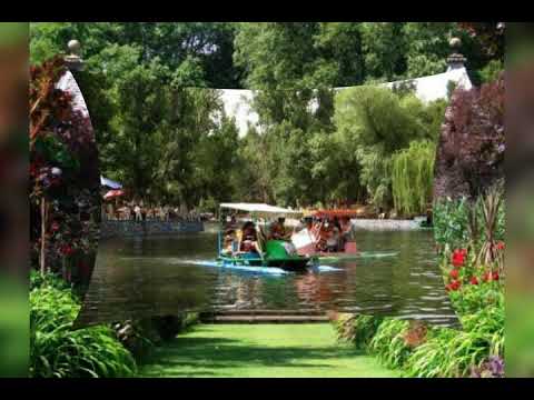 صور للجزائر غالية