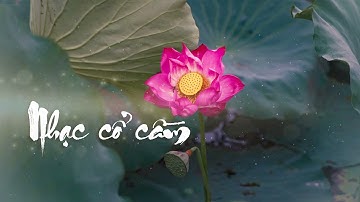 Tuệ Thường | Nhạc cổ cầm (rất hay)