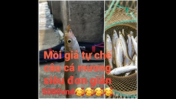 TỰ CHẾ MỒI GIẢ CÂU CÁ MƯƠNG CỰC DỂ / FISHING
