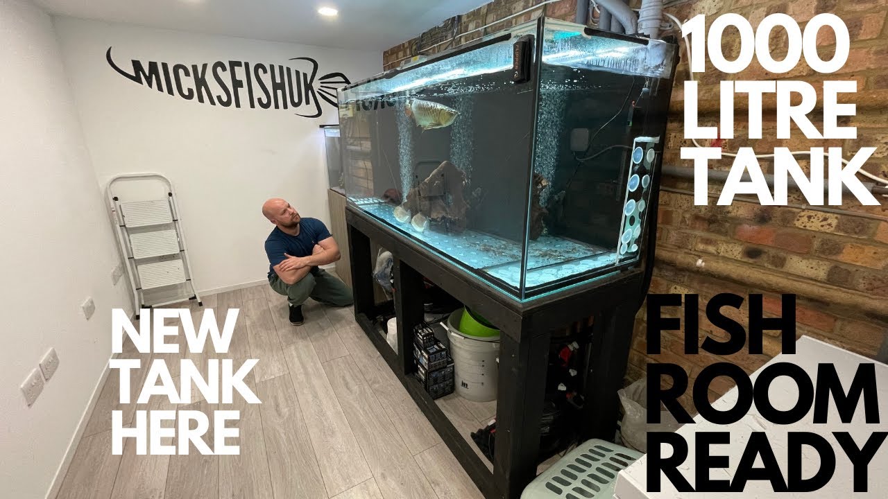 1000 LITRE TANK MOVED THE FISH ROOM IS READY FOR THE NEW TANK 