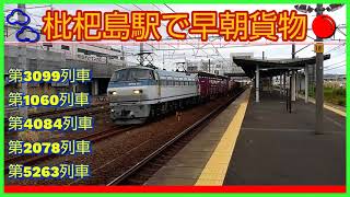 EF66・EF210・EF510・DF200牽引の貨物列車5本撮影。
