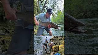 Hooked A Tank