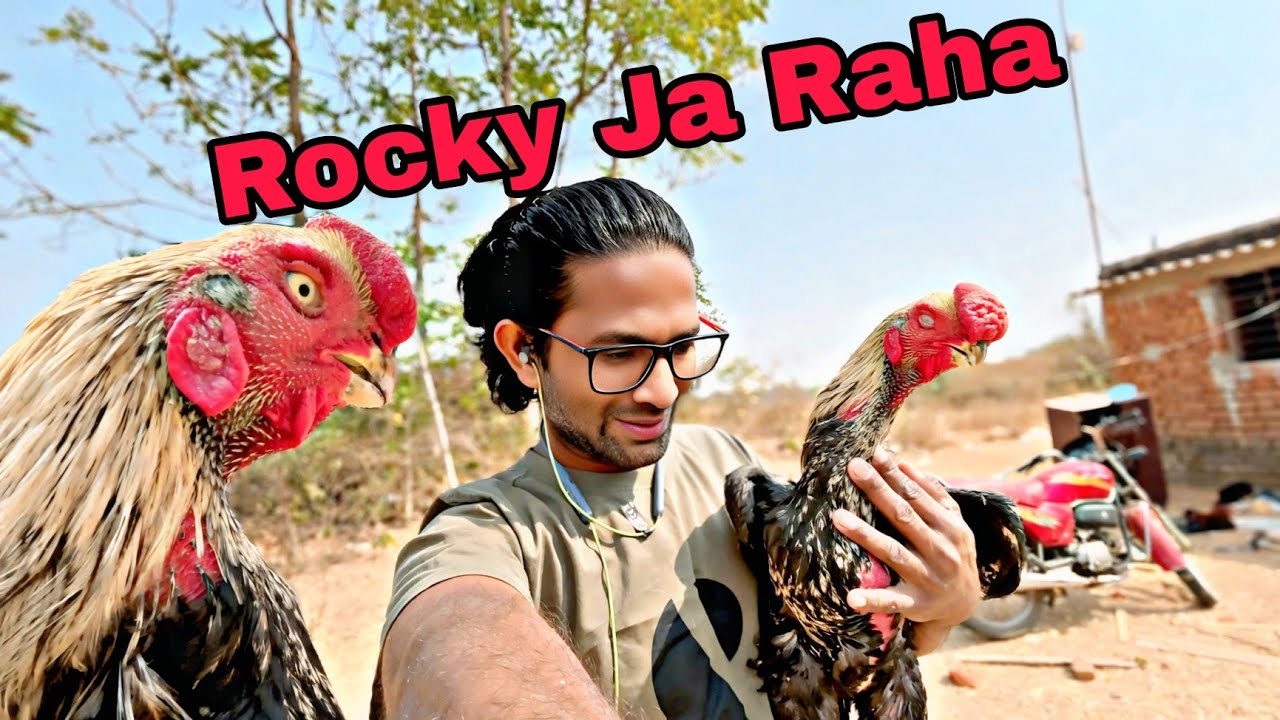 Rocky Ja Raha Hai....