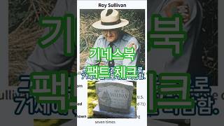 이런사람도 있구나?     #기네스북#번개맨#피뢰침#신기한