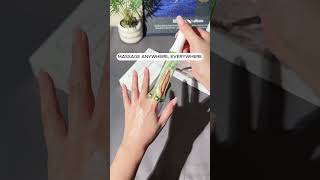 Relaxation Roller Finger Mager Relieve Stress Anytime, Anywhere 1