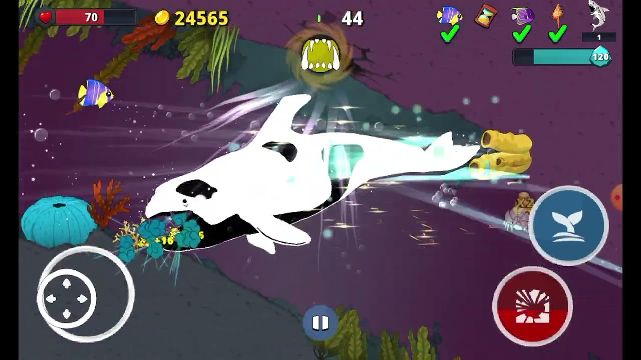 Fish Royale com keiko no Royale do nível 100 ao 169!