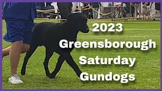 2023 Greensborough Saturday Show  Gundogs