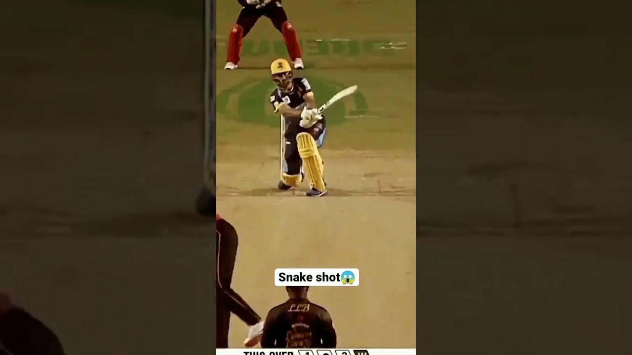 Snake shot rashid khan🏏
