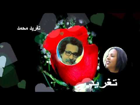 مصطفى سيد احمد حقيبة جمالو الحارسو من جهلو تغريد محمد