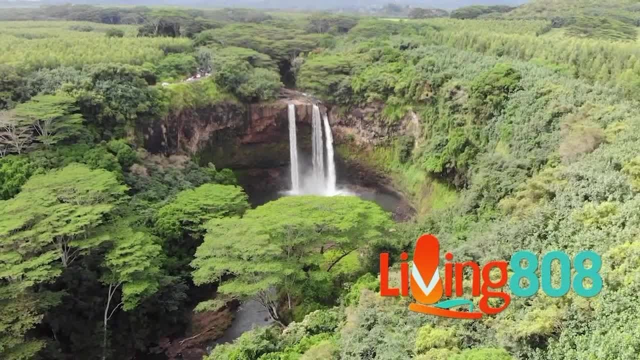 Bonnie Raitt Front Row Tickets Giveaway - KHON2 News