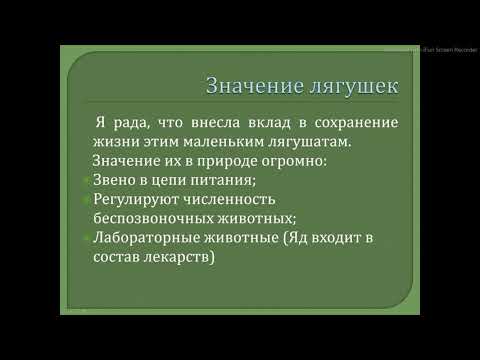 Гайдук Ольга 8 В Лягушка - Путешественница