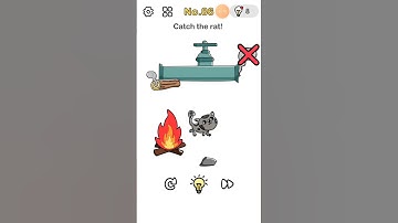 #86 - Brain out level 86 - Catch the rat!