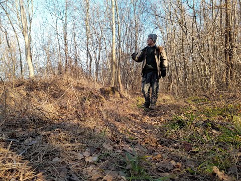 Ep. 3 Lov na fazana/ Pheasant hunting