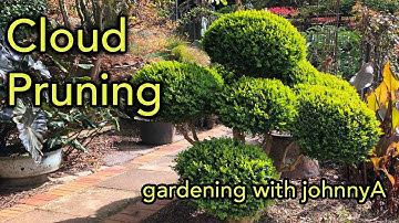 Cloud Pruning Made Easy - Full Demonstration - Japanese 