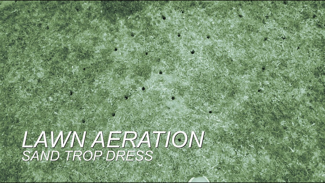Aerate Lawn and Top Dress Sand to relieve compaction YouTube
