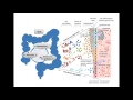 Epithelial Cells In Stool Test