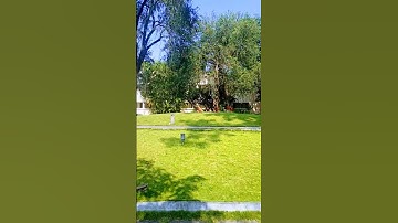 TIFR NCRA #physicsmotivation #physics #tifrphysics #cinematic