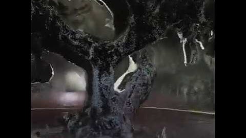 “Shadow Catcher / Collider” -- #oaktree #pointcloud #visualart - 4kp60