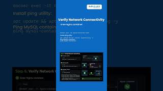 End to End Docker Project with Volume & Network