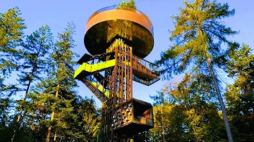 *HIKING* Weekly Walks - Putten (30KM Solo Hiking In A Fairytale Forest & 50M High Lookout Tower)