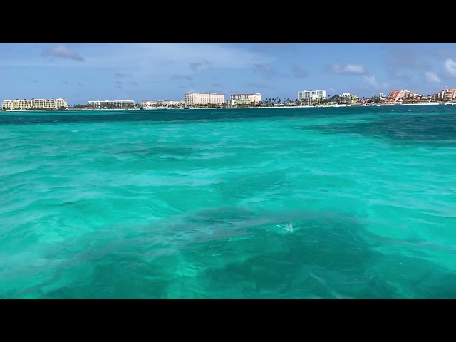 01 20 21 Palm Beach Aruba from the water