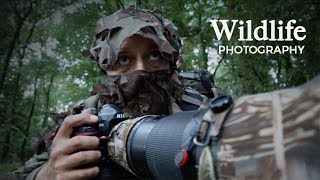 WILDLIFE PHOTOGRAPHY  ROE DEER  behind the scenes vlog with wildlife photographer Morten Hilmer