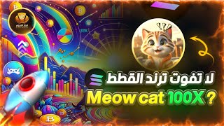 عملة رقمية جديدة meowcat جاهزة للانفجار ?⚡meme