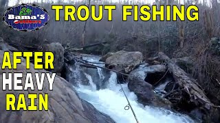 TROUT FISHING AFTER HEAVY RAIN|FIRST FISH OF 2019